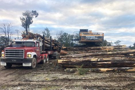 Photo of property in 496a State Highway 7, Kaiata, Greymouth, 7805