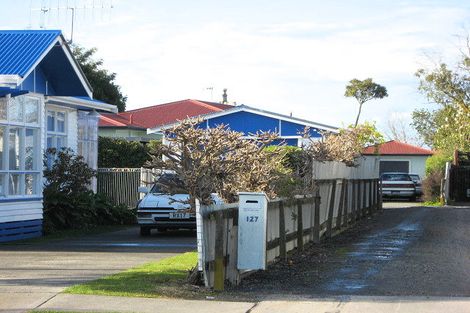 Photo of property in 127 Gascoigne Street, Raureka, Hastings, 4120