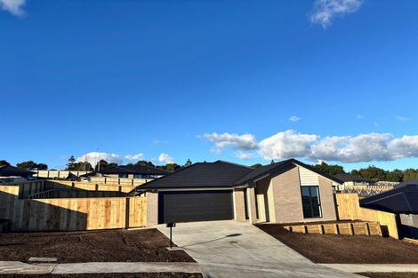 Photo of property in 31 Coptic Terrace, Pokeno, 2402