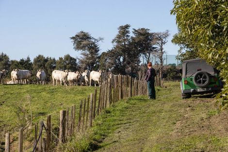 Photo of property in 231 Walford Road, Aongatete, Katikati, 3181
