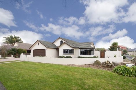 Photo of property in 85 Burwood Road, Matamata, 3400