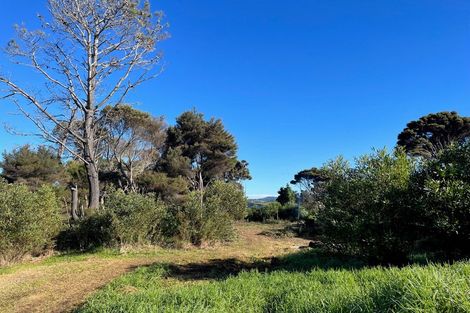 Photo of property in 8 Thelma Road, Mangawhai Heads, Mangawhai, 0505