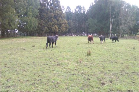 Photo of property in 20-26 Kauri Road, Whenuapai, Auckland, 0618