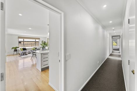 Photo of property in 17 Joyce Place, Richmond, 7020