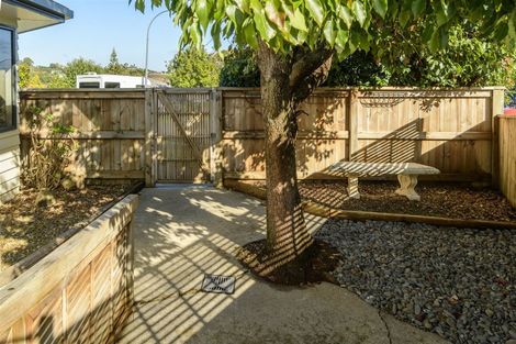 Photo of property in 37 Marire Drive, Ohauiti, Tauranga, 3112