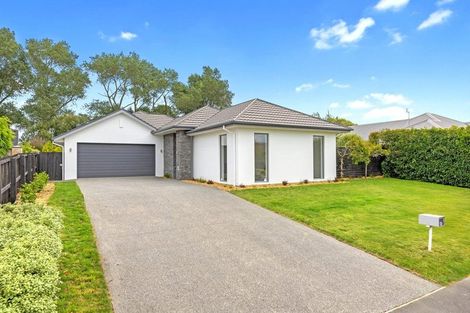 Photo of property in 25 Mokihi Gardens, Hillmorton, Christchurch, 8024