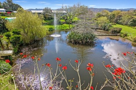Photo of property in 320 Mangawhai Kaiwaka Road, Kaiwaka, Wellsford, 0975