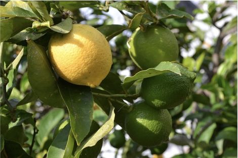 Photo of property in 105b Newman Road, Stillwater, Silverdale, 0993