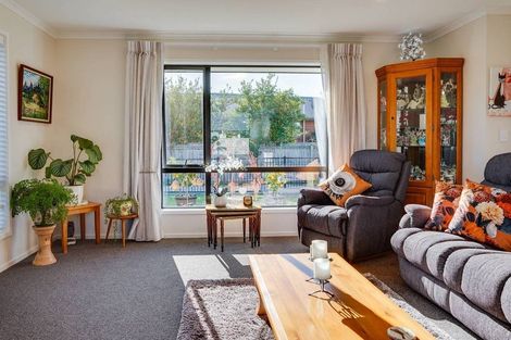 Photo of property in 43 Easthaven Place, Redwoodtown, Blenheim, 7201