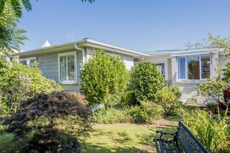 Photo of property in 84 Macarthur Street, Levin, 5510