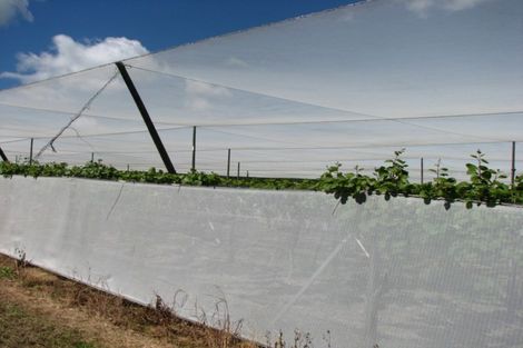 Photo of property in 1082 Te Matai Road, Te Ranga, Te Puke, 3188