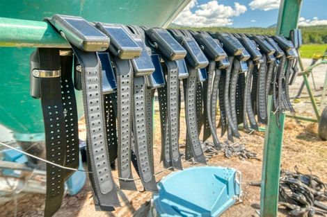 Photo of property in 1297 Haupiri Road, Haupiri, Dobson, 7872