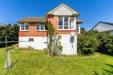 Photo of property in 18 Panmure Avenue, Calton Hill, Dunedin, 9012