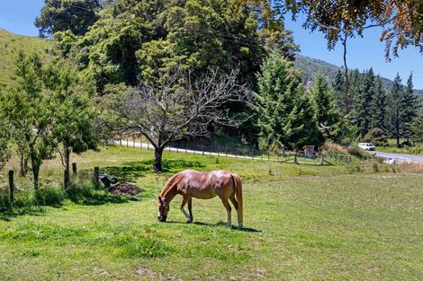 Photo of property in 44 Wairoa Gorge Road, Wairoa Valley, Brightwater, 7091