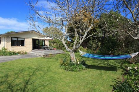 Photo of property in 446b Thames Street, Morrinsville, 3300