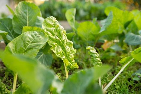 Photo of property in 257 Mazengarb Road, Paraparaumu, 5032