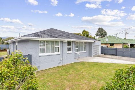 Photo of property in 56 Salisbury Street, Levin, 5510