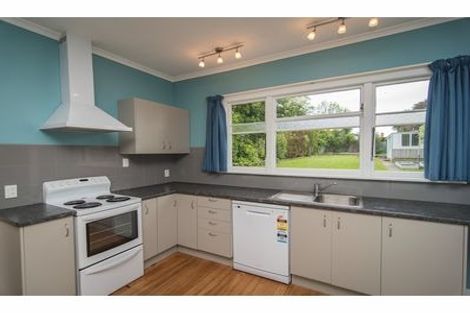 Photo of property in 29 Essex Street, Marchwiel, Timaru, 7910