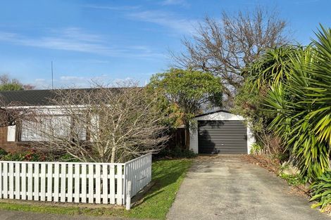 Photo of property in 57 Lincoln Street, Ashhurst, 4810