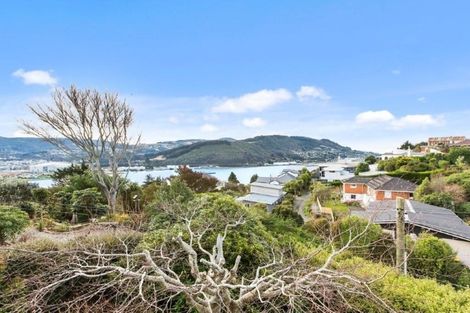 Photo of property in 110 Doon Street, Waverley, Dunedin, 9013