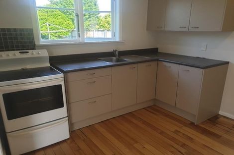 Photo of property in 44 Queenwood Avenue, Queenwood, Hamilton, 3210