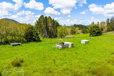 Photo of property in 9 Bickerstaffe Road, Maungaturoto, 0520