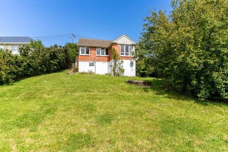 Photo of property in 18 Panmure Avenue, Calton Hill, Dunedin, 9012