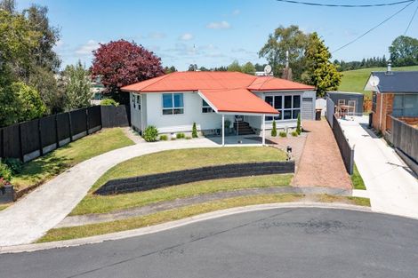 Photo of property in 14 Kowhai Place, Putaruru, 3411