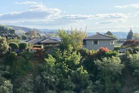 Photo of property in 46 Hikanui Drive, Havelock North, 4130