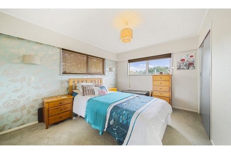 Photo of property in 278 Orua Bay Road, Manukau Heads, Waiuku, 2684