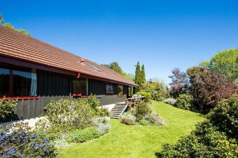 Photo of property in Wairongoa Springs, 287 Wairongoa Road, North Taieri, Mosgiel, 9092