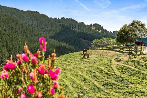 Photo of property in 1098 Woodcocks Road, Kaipara Flats, Warkworth, 0981