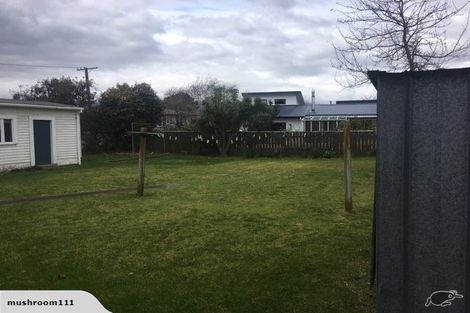 Photo of property in 22 Lemon Street, Otaki, 5512