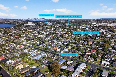 Photo of property in 2/164 Nile Road, Milford, Auckland, 0620
