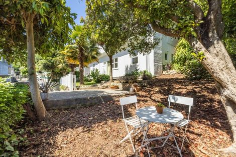 Photo of property in 45 Faraday Street, Hospital Hill, Napier, 4110