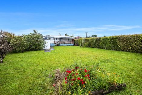 Photo of property in 185 Hokianga Road, Dargaville, 0310