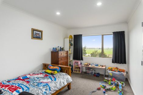 Photo of property in 91 Buckley Road, Shannon, Palmerston North, 4474