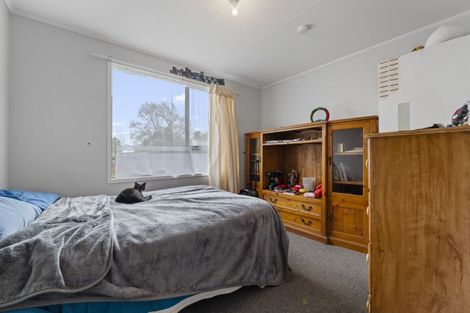 Photo of property in 12 Exeter Street, Stratford, 4332