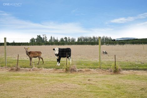 Photo of property in 2555 South Eyre Road, Eyrewell, Rangiora, 7476