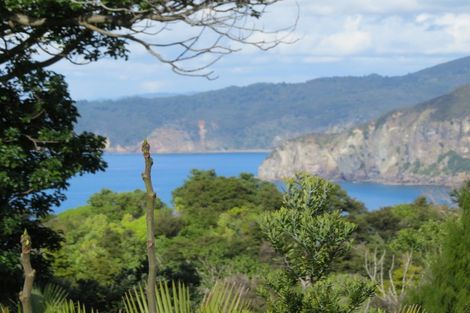 Photo of property in 15 Puriri Place, Tuateawa, Coromandel, 3583