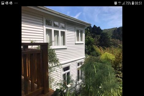 Photo of property in 6 Semeloff Terrace, Aro Valley, Wellington, 6021