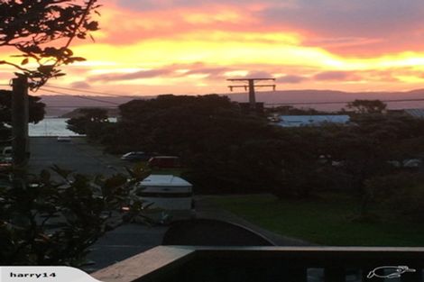 Photo of property in 329 Muritai Road, Eastbourne, Lower Hutt, 5013