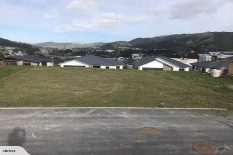 Photo of property in 167 John Burke Drive, Aotea, Porirua, 5024