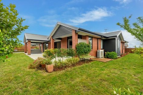 Photo of property in 62 Farrier Street, Papamoa, 3118