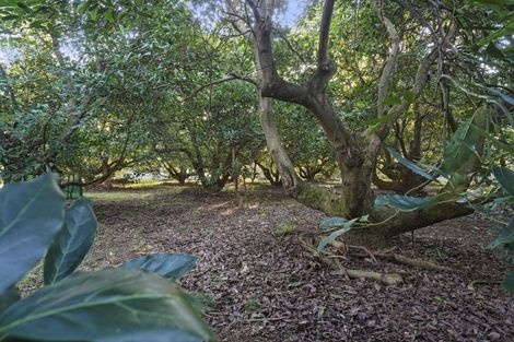 Photo of property in 12a Aongatete Road, Aongatete, Katikati, 3181