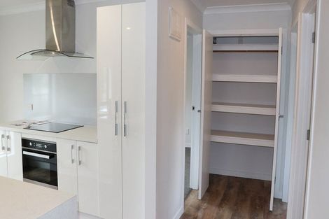 Photo of property in 11 Hammond Street, Hamilton Central, Hamilton, 3204