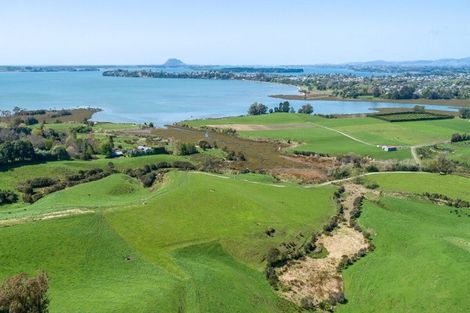 Photo of property in 288a Pahoia Road, Whakamarama, 3172