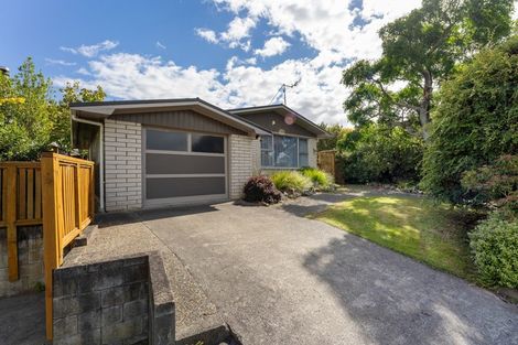 Photo of property in 19 Mudgway Place, Awapuni, Palmerston North, 4412