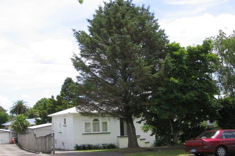 Photo of property in 31 Harlston Road, Mount Albert, Auckland, 1025
