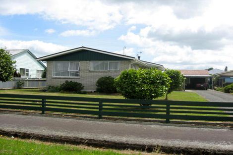 Photo of property in 14 Tararua Street, Pahiatua, 4910
